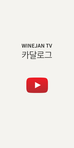 와인잔tv 유튜브